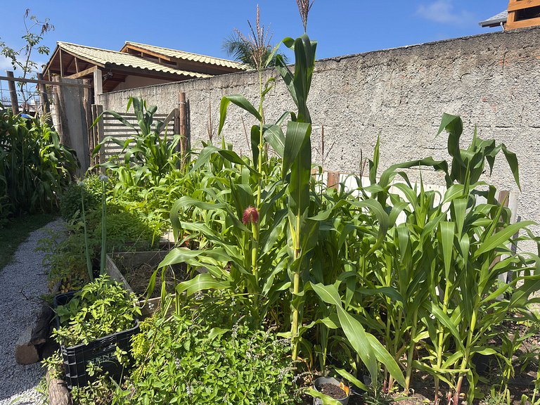 Casa com Jacuzzi Aquecida e Trilha p/Praia - SCR33